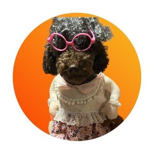 Dog Granny Halloween Costume XL